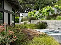 Training Grape In Diamond Pattern On Back Wall California Dreaming A Golden Landscape On The Edge Of Butterfly House Landscape Design California Wildflowers