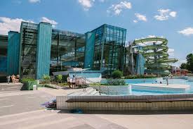 Sep 24, 2018 · the portobello mushroom is one of the most widely consumed mushrooms in the world. Portobello Hotel Esztergom Aktualisierte Preise Fur 2021