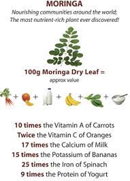 Moringa Tea Moringa Tea Moringa Benefits Moringa