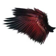 Sussiem Vampire Diary Ep65 Png Wings Wings Drawing Demon Wings