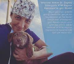 veteriner hekim dr zeynep guleryuzlu geri dondu