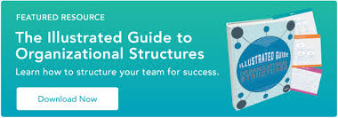 9 Types Of Organizational Structure Every Company Should