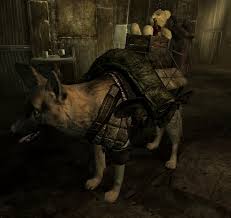 With the adamantium skeleton perk, your limbs only receive 50% of the damage they normally would. Dogmeat Leather Armor At Fallout 3 Nexus Mods And Community