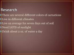Color change observed in flower controlled variables: Science Fair Project Colorful Carnations Biology Mallory Running Ppt Video Online Download