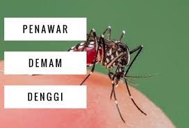 Ia disebabkan oleh empat virus yang berlainan dan disebarkan oleh nyamuk aedes. Lepas Amal Penawar Demam Denggi Ni Bintik Merah Semakin Hilang Kesihatan Dan Kecantikan