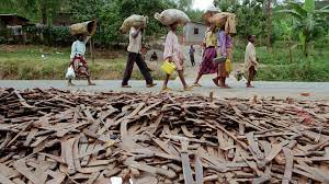 Once the genocide was over, the country faced years of reconciliation and recovery. Rwanda Genocide Remembered 25 Years Later Abc News