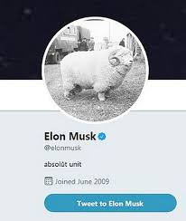 $doge to the moon regardless of all the panic selling, hold the line!pic.twitter.com/yknvdgcwxl. Elon Musk Adopts Picture Of Devon Ram As Twitter Profile Pic Devon Live