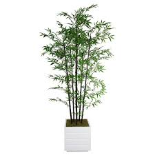 Head to your local home depot where you might find 50% off flower bulbs! 78 In Tall Black Bamboo Tree In 14 In Fiberstone Planter White Artificial Plant Arrangements Artificial Garden Plants Artificial Plants Outdoor