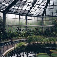 Pin By Seba Maris On G R E E N Greenhouse Plants Places