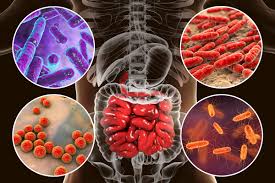 Gastrointestinal Symptoms Of Lyme Disease Dr Todd Maderis
