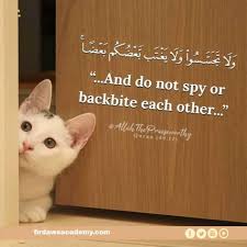 Do Not Spy Learn Quran Islamic Quotes Quran Recitation