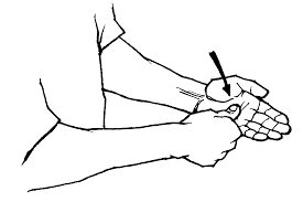 There is also the australian sign language (auslan) and the alphabets … Letter American Sign Language Asl