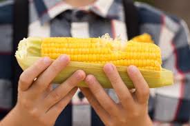 Selanjutnya, rebus jagung pipil dengan menggunakan api sedang atau kecil selama empat menit. Tak Usah Lagi Dipercaya 5 Mitos Jagung Manis Ini Keliru