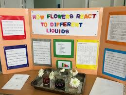 Fun color changing flower science and stem for kids! Elementary School Science Fair 2016 Tien Shan International School News