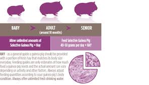 Science Selective Guinea Pig Food Supreme Petfoods