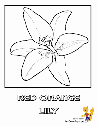 Download and print water lily coloring pages for kids! Luxurious Coloring Flower Picture Lily Free Easter Flower