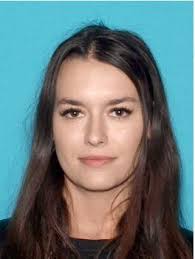 Sheriff searching for assault, carjacking suspect