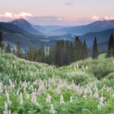 The russian conquest of siberia took place in the 16th and 17th centuries, when the siberian khanate had become a loose political structure of vassalages which were becoming undermined by the activities of russian explorers who, though outnumbered. Amwh Final Exam Quizlet Feel Free To Add But Please Do Not Delete Terms Flashcards Quizlet