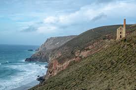 Image result for Wheal