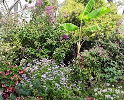 Favorite Plants In A New Jersey Garden Finegardening Shade Perennials Plants Native Plant Landscape