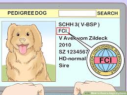 3 Ways To Read A Dogs Pedigree Wikihow