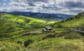 Pin By Amanda Burnett On Benches Cool Places To Visit Country Park Places To Visit