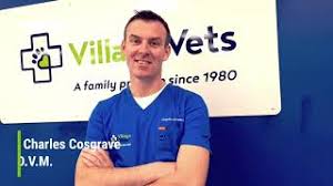 Payments by credit card and direct debit in 2 easy steps. Best Pet Insurance In Ireland Compare Dog Cat Insurance