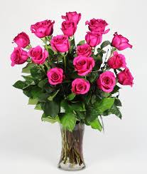 Lots of purple flowers on long stems on a green background, sharpness selected one flower. Bright Pink Long Stemmed Roses 18 In Saint Paul Mn Iron Violets Design Studio