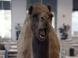 Hey.guess what day it is! What Triggers Word Of Mouth Marketing To Catch Fire
