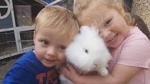 M4 crash: Second child who died after Newport collision named