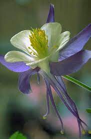 Pin On All Things Beautiful