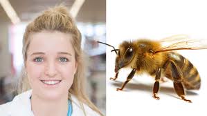 A háziméh mérge elpusztítja az egyik legagresszívebb melldaganat sejtjeit