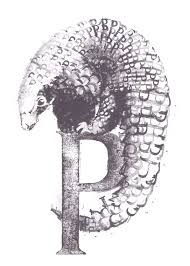 P For Pangolin Drawing With Rubber Stamps Pangolin Greeting Cards Lettering Alphabet