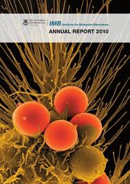 IMB Annual Report 2010 by UQ IMB