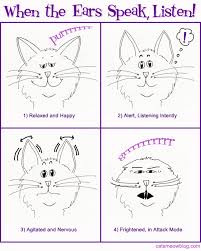 Cat Body Language Cat Language Cat Behavior Cat Body
