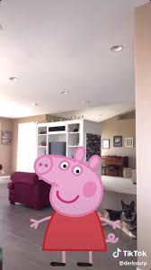 Tik Tok Pinterest Peppa Pig Funny Peppa Pig Memes Crazy Funny Memes