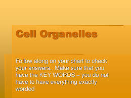 cell organelles follow along on your chart to check your