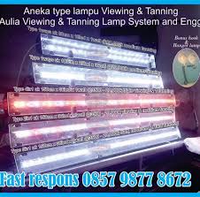 Tujuan dari pemberian sinar matahari ini agar ikan harga ikan arwana terbaru 2021. Group Konsumen Lampu Beitrage Facebook