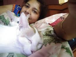 Sleeping together. Good morning Cats lovers.