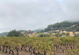 Gonfaron is best known for the local 'village des tortues', a rescue and breeding centre for tortoises. Gonfaron En Hiver Album On Imgur