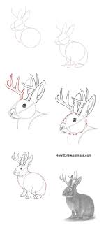 100 Animal Drawing Tutorials Ideas Animal Drawings Drawings Drawing Tutorial Visit www.how2drawanimals.com or my channel for more animal drawing tutorials and don't forget to pause the video after.