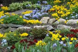 When you add bushes to your rock garden, you have plant life that won't require constant tending. About Rock Gardens Howstuffworks