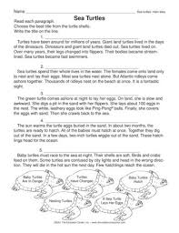 Sea Turtles Lesson Plans The Mailbox Sea Turtle Ocean Lesson Plans Biology Worksheet