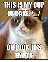 This Is My Cup Of Care Oh Look Its Empty Grumpy Cat Meme On Me Me Grumpy Cat Quotes Funny Grumpy Cat Memes Cat Quotes Funny