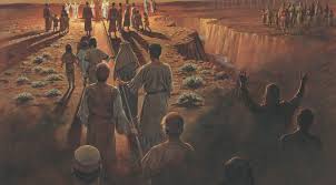 [perhaps an alteration of strait and narrow. Book Of Mormon Archives Our Thoughts