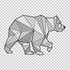 Polar Bear Geometry Drawing Brown Bear Png Angle Animals Area Art Artwork Drawings Polar Bear Bear