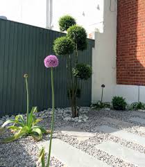 A pom pom christmas tree dresses up holiday cards and decorations with some festive fuzz. Front Corner Plot With Sandstone Paving Pom Pom Trees Hunter Gardens