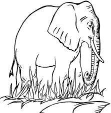 Here's a big, bold, appealing elephant colouring page for younger kids, just one of a set of printables using this image. Free Printable Elephant Coloring Pages For Kids