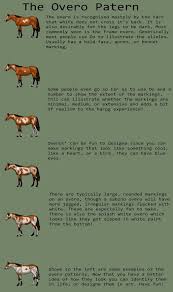 Here You Have One Of Many Charts I Am Making With As Much Information On The Different Genetics As I Can Possib Horse Color Chart Horse Coloring Horse Markings
