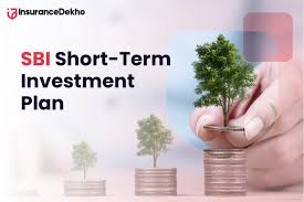 Best Short-Term Investment Plans With High Returns In India 2023 | Life &  General Insurance